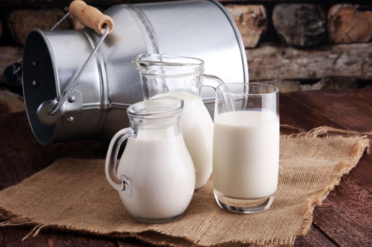В Ростовской области проверят производителей нелегальной «молочки»