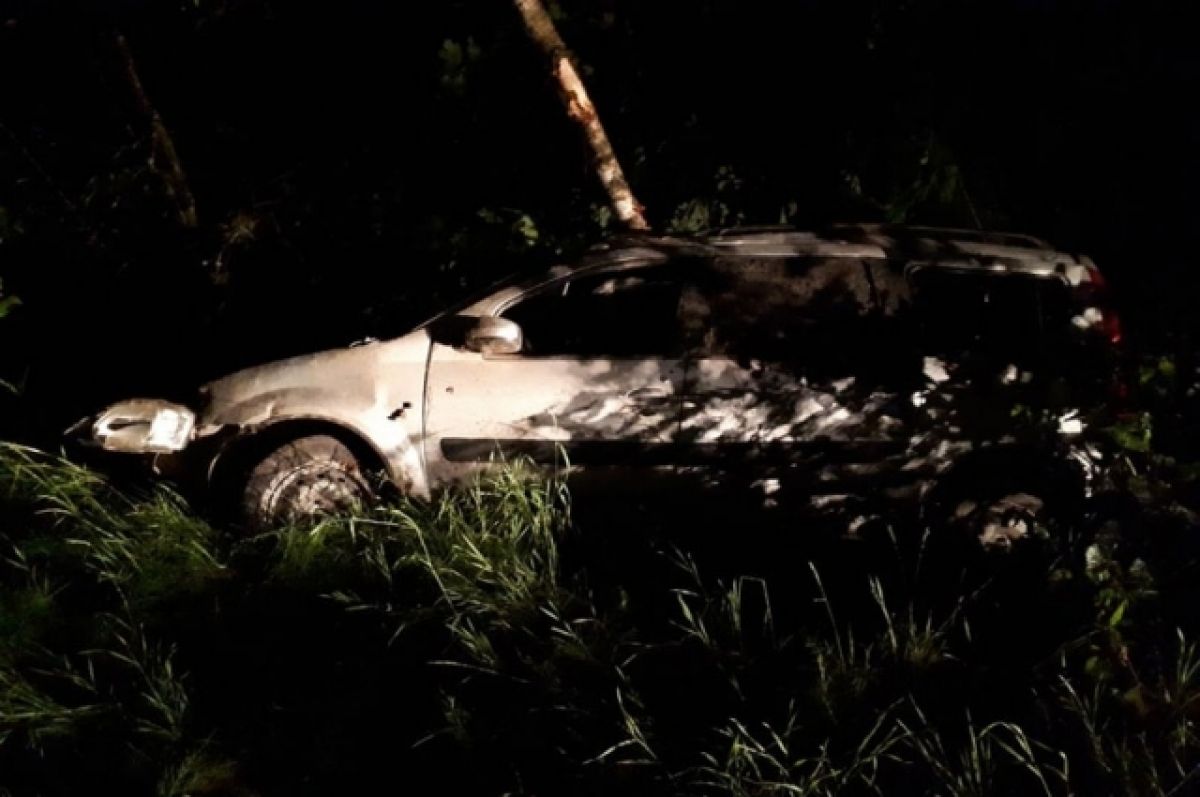 В Брянской области пьяный водитель с детьми в машине врезался в дерево