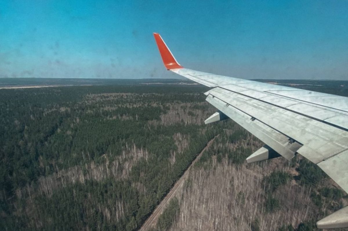 Три летевших в Новосибирск рейса приземлились в Барнауле из-за тумана