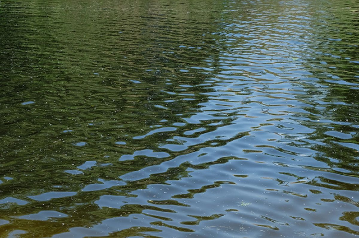Пела вода река. Вода река. Вода озеро. Прозрачное озеро в Нижегородской области. Изображение воды в реке.