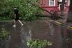Вырванное с корнем дерево во дворе Москвы.