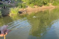 На реке Урал в Илеке утонули две девочки.