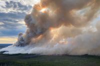 Проводятся работы по тушению пяти возгораний на землях Кондинского, Советского, Сургутского и Урайского лесничеств