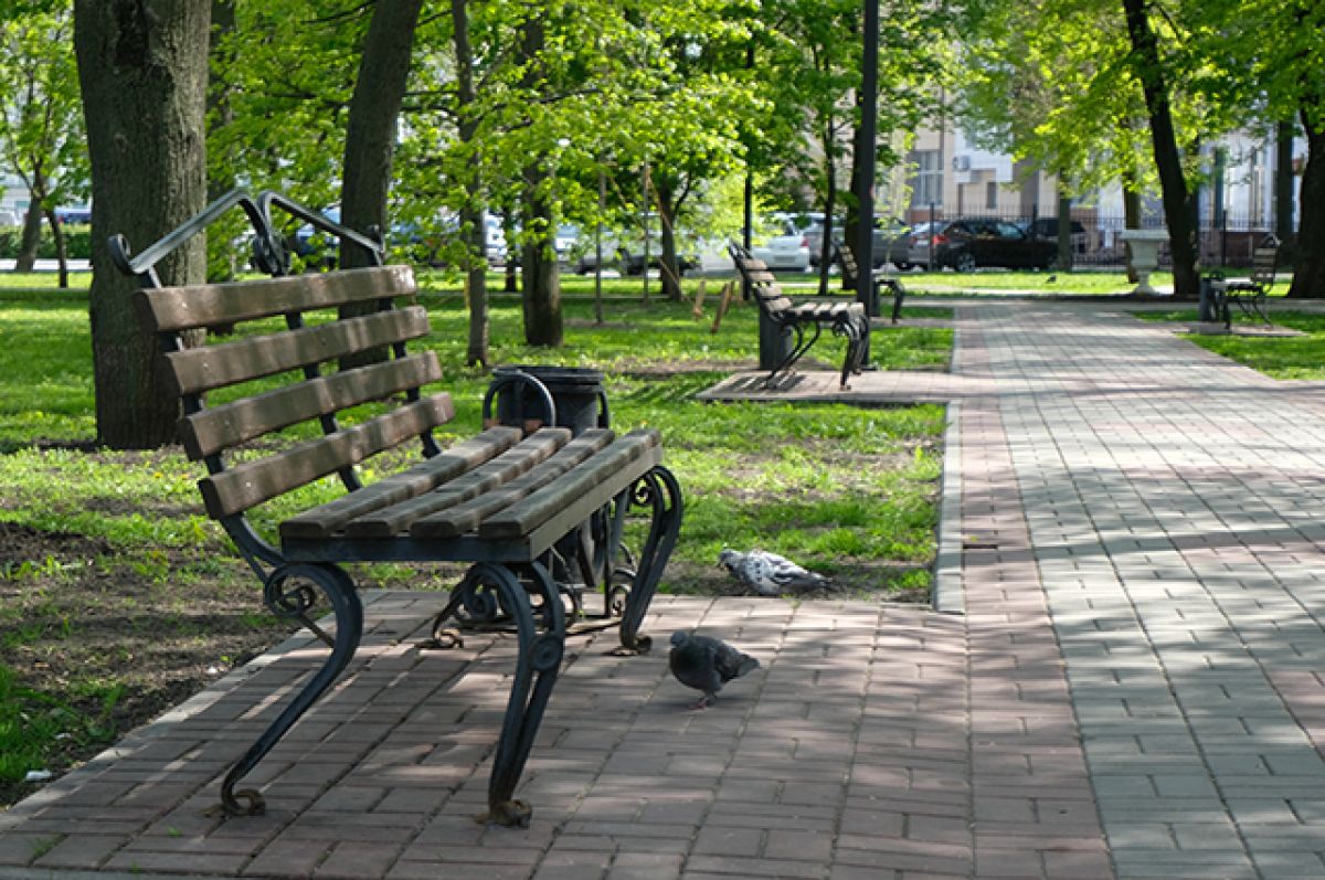 В Барнауле ищут подрядчика, который благоустроит парк «Изумрудный»
