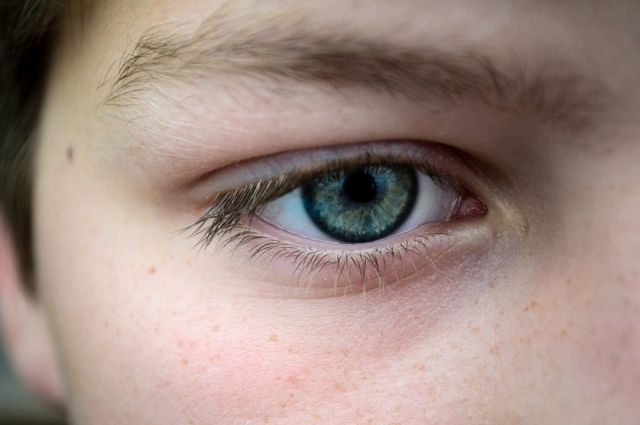 В РФ детей с нарушениями зрения начнут обеспечивать брайлевскими дисплеями