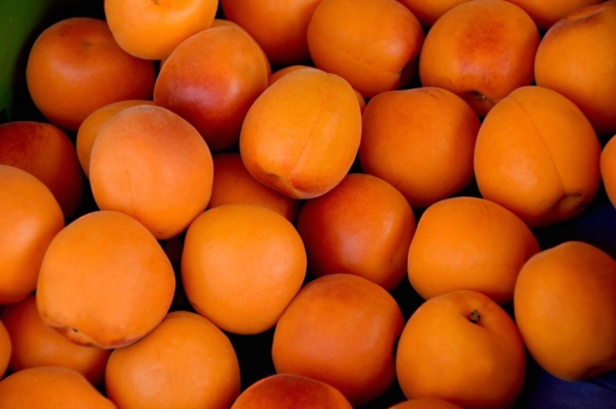 Диетолог рассказала о неожиданных свойствах абрикосов