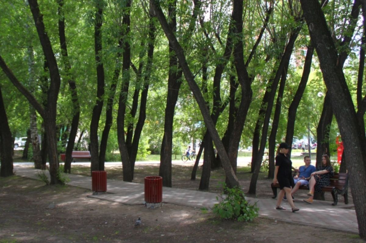 Барнаул попал в ТОП-20 самых «зеленых» городов страны