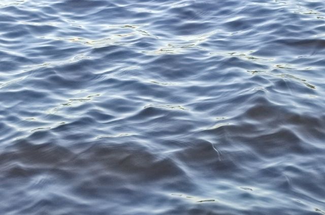 В реке Елшанка в Соль-Илецком ГО утонула 12-летняя девочка.
