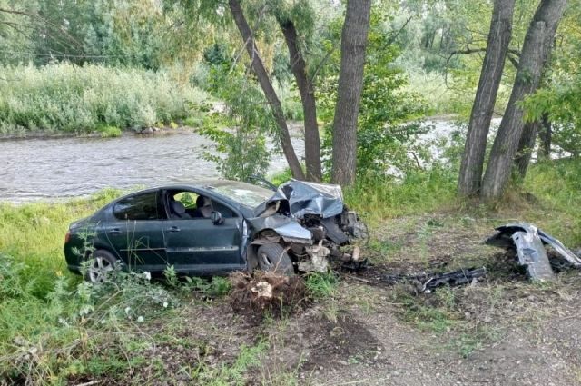 В столкновении Peugeot с деревом в Кувандыке погиб молодой мужчина.