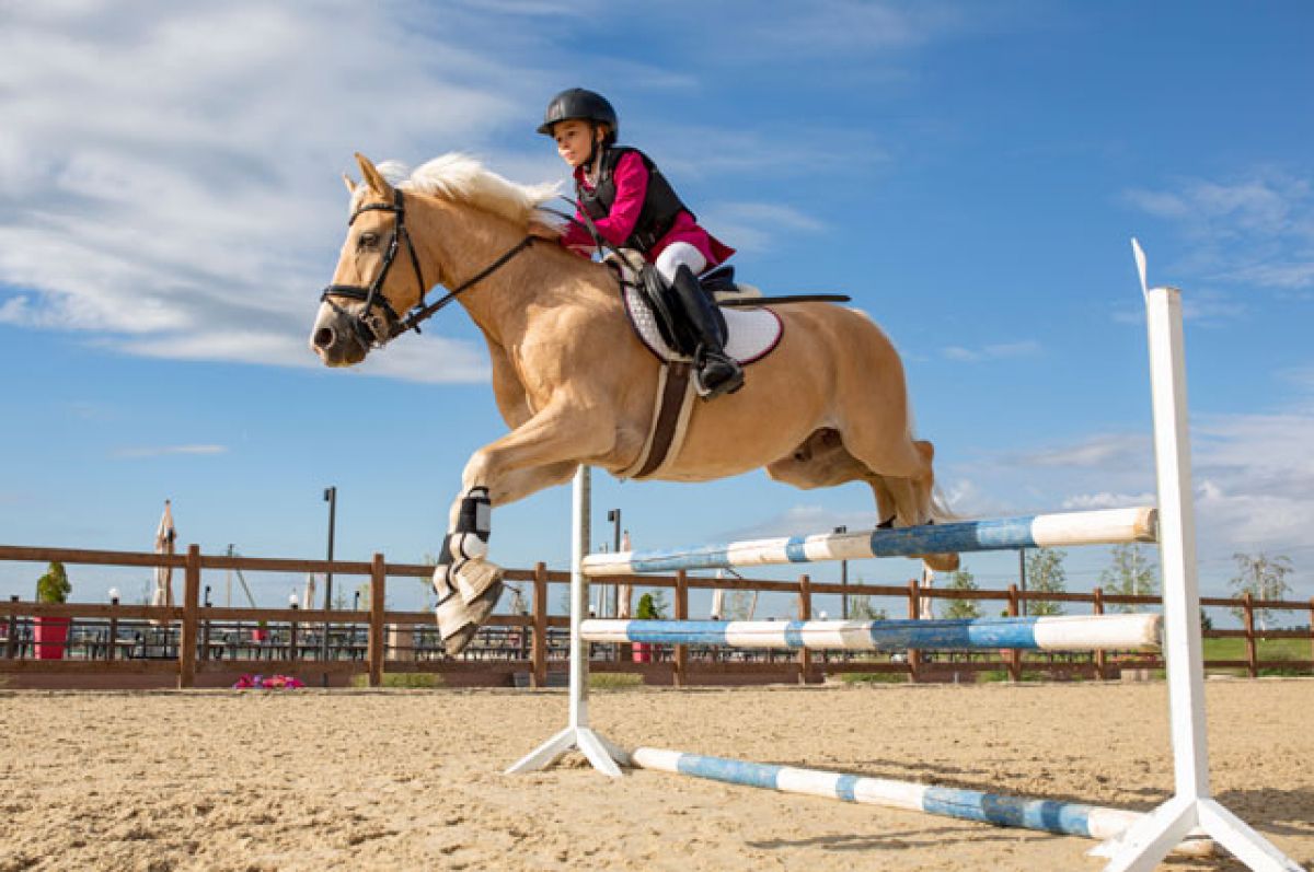 Тест: Разбираетесь ли вы в конном спорте?