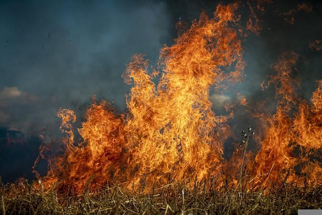 В Оренбуржье объявили 5 класс пожароопасности