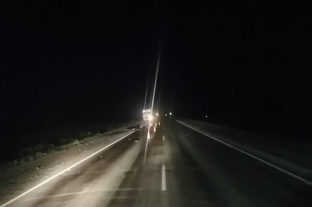 В ночном ДТП на трассе Оренбург-Орск под колесами грузовика погиб пешеход.