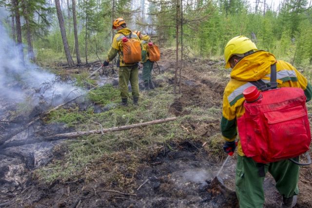 С начала пожароопасного сезона на Колыме зарегистрировали 44 природных пожара на общей площади 55,5 тыс. га.