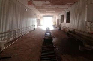 Оренбуржец угнал авто посреди ночи