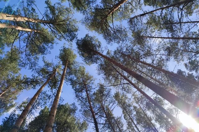 Четверо парней заблудились в Оренбуржье