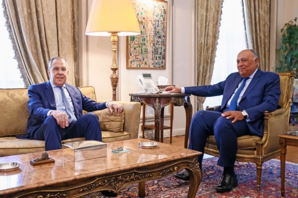 Глава МИД Египта и Лавров обсудили пути решения конфликта на Украине