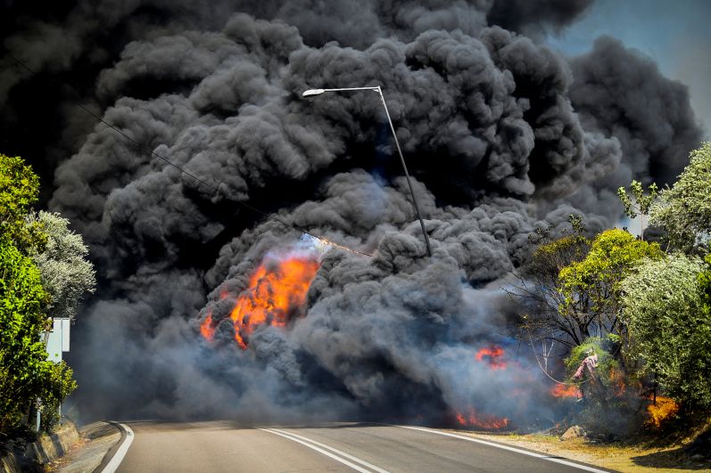 Тушение лесного пожара на полуострове Пелопоннес в Греции