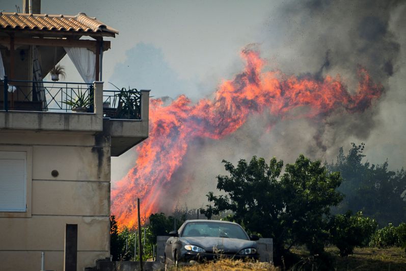Лесной пожар на полуострове Пелопоннес в Греции