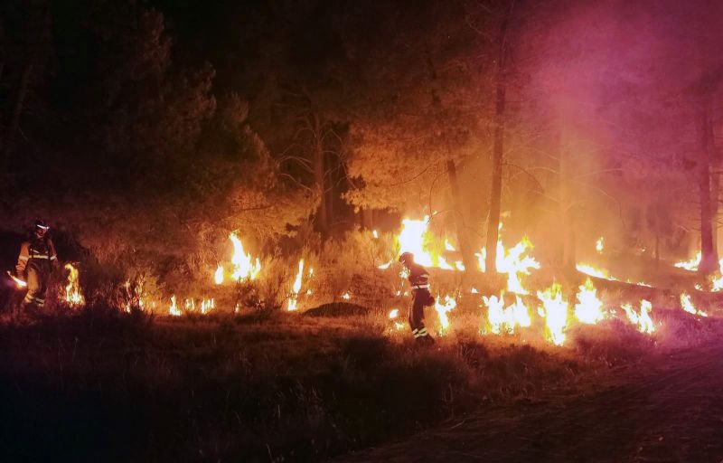 Тушение лесного пожара в испанском регионе Кастилия и Леон