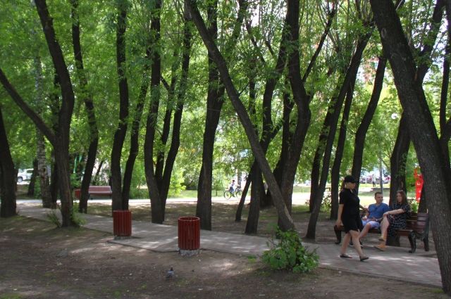 В Карабаше обсудили концепцию парка в центре поселка. 