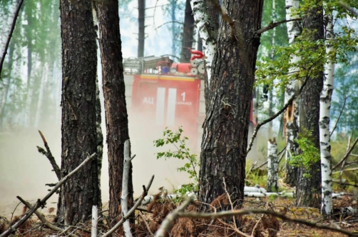 В РФ за сутки ликвидировали лесные пожары площадью две тысячи гектаров