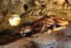 Фигура саблезубого тигра в пещере «Таврида»