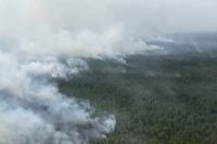 Площадь лесных пожаров в округе за сутки снизилась и составляет 3 815 гектаров