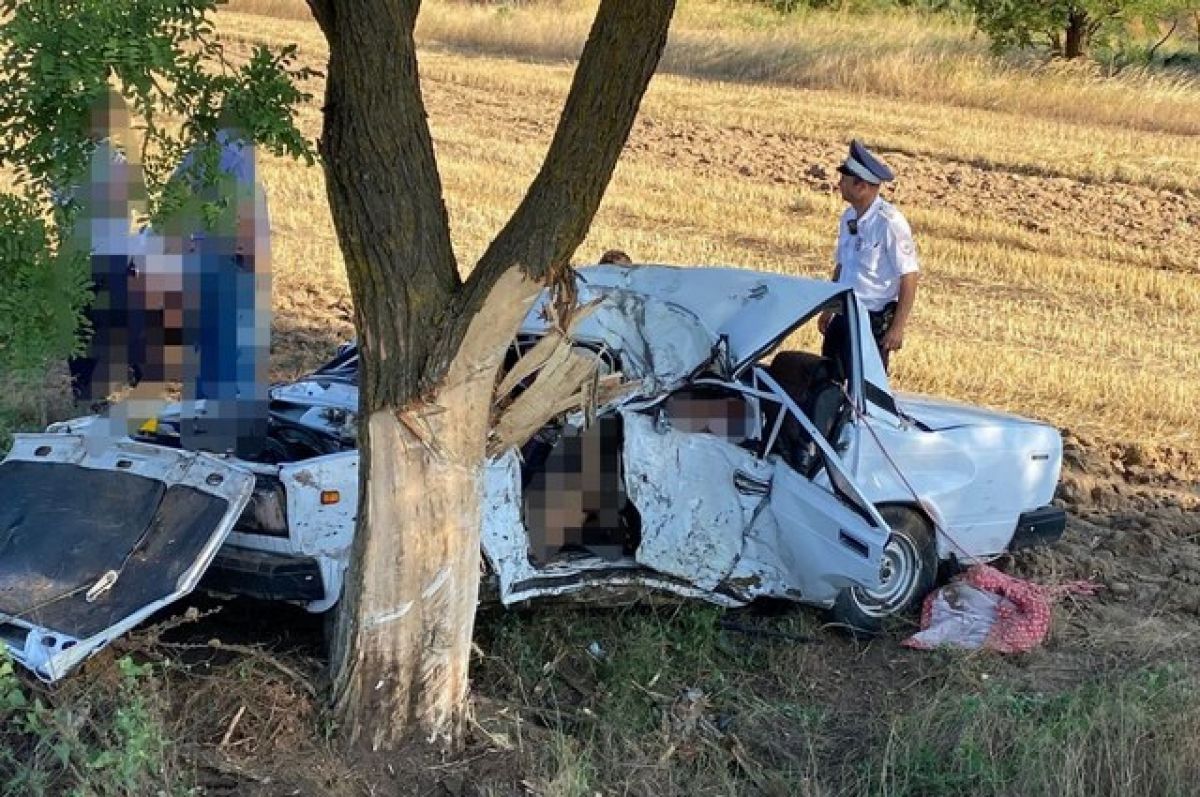 На Ставрополье машина вылетела с трассы и врезалась в дерево, погибли двое  | АиФ Ставрополь