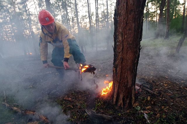 Борьба с лесными пожарами – это тяжёлый физический труд.