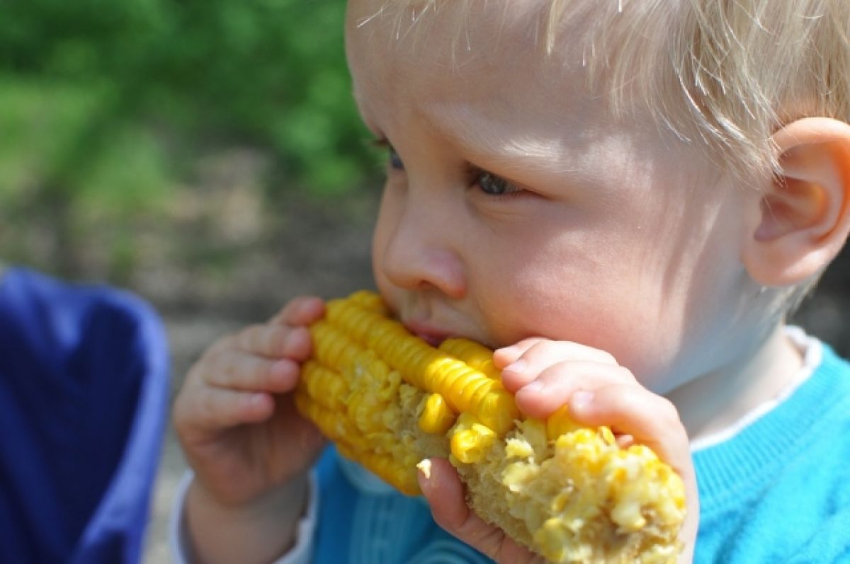Тысячи тонн заражённой кукурузы нашли в Ростовской области