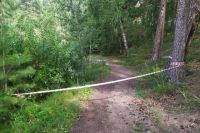Корреспондент krsk.aif.ru пообщался с железногорцами у места, где обнаружили тело школьницы. 