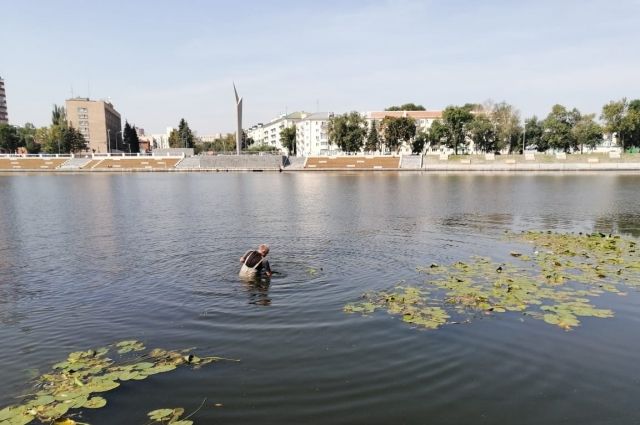 Отчёты говорят, что воду в Суре нельзя назвать чистой.