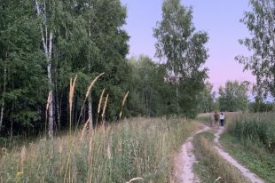 До 8 августа местами в Алтайском крае сохранится высокая пожароопасность.