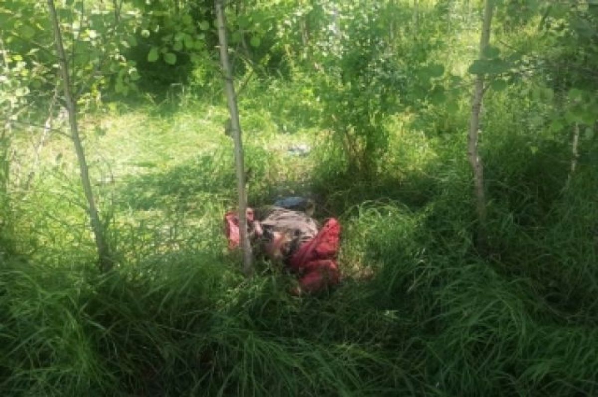 Нашли ли тело погибшего. Тела найденные в лесах.