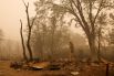 В Калифорнии бушует пожар McKinney, ставший самым крупным лесным пожаром в штате в этом году