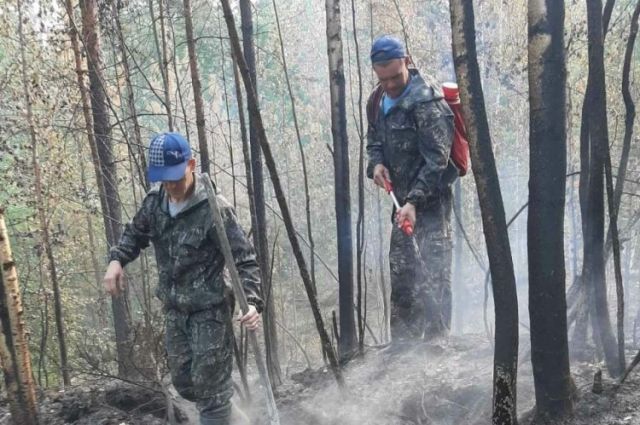 В целом в округе тушением пожаров занимаются 213 работников федерального резерва Авиалесоохраны