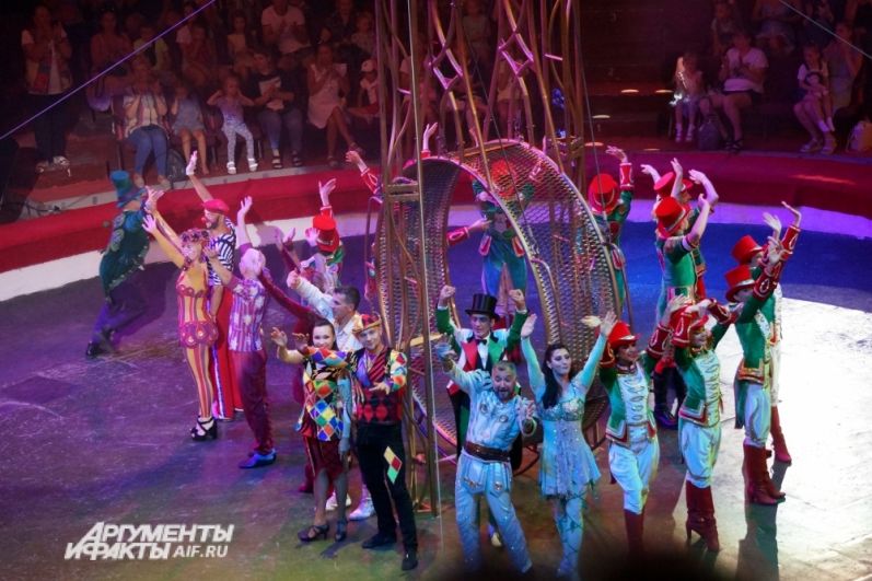 Шоу «Счастливый билет» в пермском цирке. 