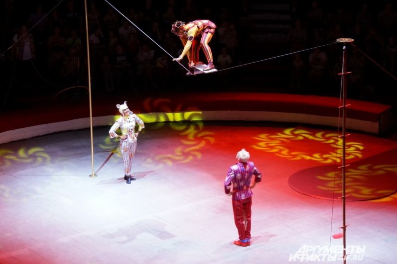 Шоу «Счастливый билет» в пермском цирке. 