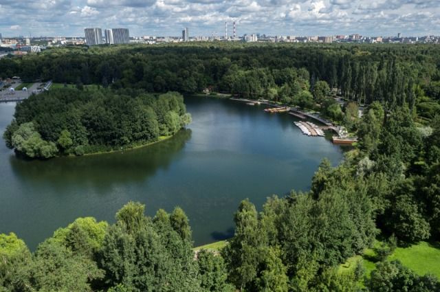 5 крупнейших природных парков и заказников Москвы