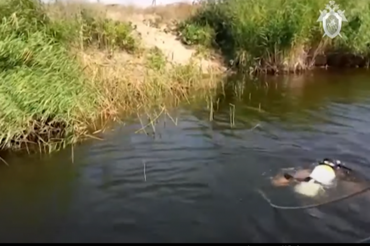 Река Тишанка Волгоградская область. Тело ребенка нашли в реке. 8 летний мальчик утонул