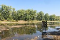 Руководство Татышев-парка ищет подрядчика для выполнения благоустройства территории вокруг озера.