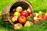 Смысл освещения яблок не в том, чтобы купить их в магазине и принести в храм, где они будут наделены какими-то сакральным свойствами, излечивающими от недуга.