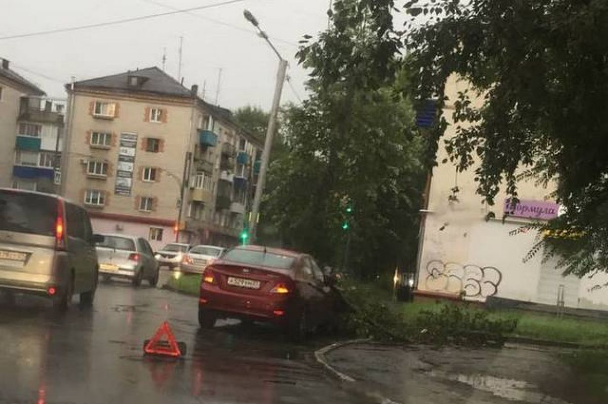 В Комсомольске из-за сильного ветра дерево упало во двор детского сада |  АиФ Хабаровск