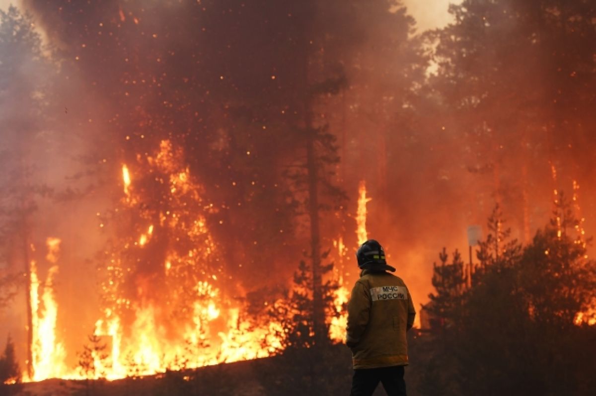 В России за сутки потушили 51 природный пожар