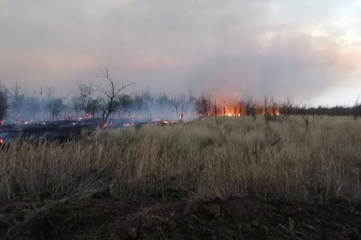Лесной пожар в Ростовской области тушат уже десять часов