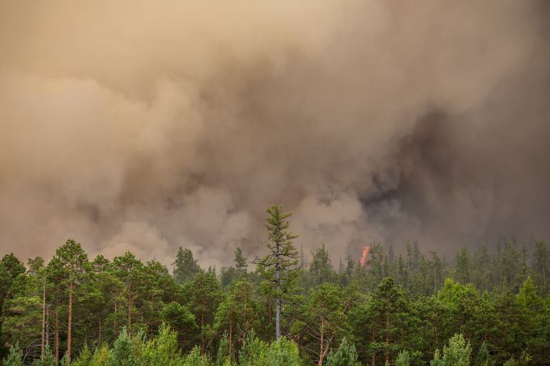 Со 2 августа в Югре действует режим чрезвычайной ситуации из-за лесопожарной обстановки