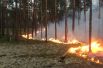 Пожары, по мнению специалистов, возникают из-за сухих гроз 