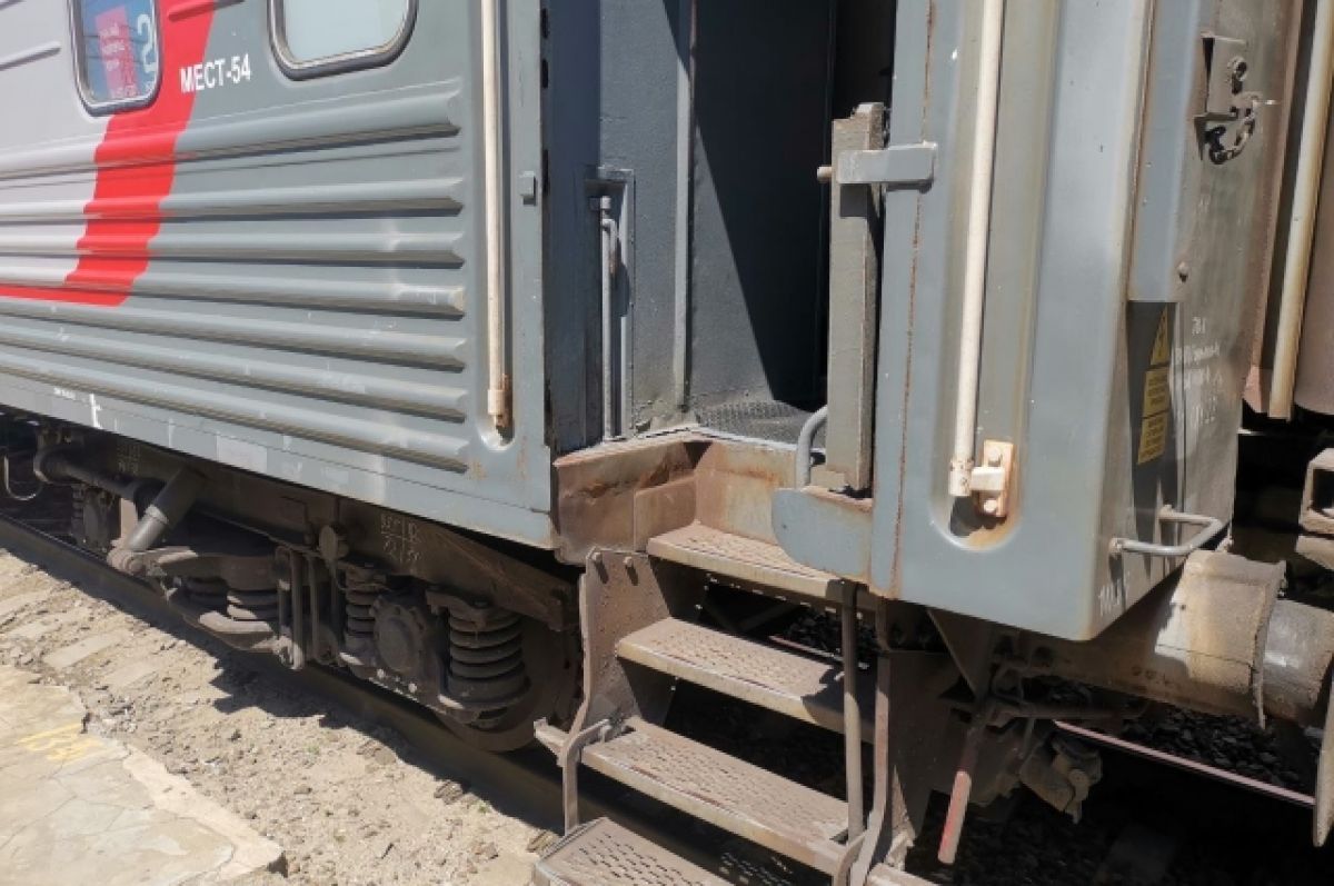 В Ростовской области из поезда высадили пьяного дебошира