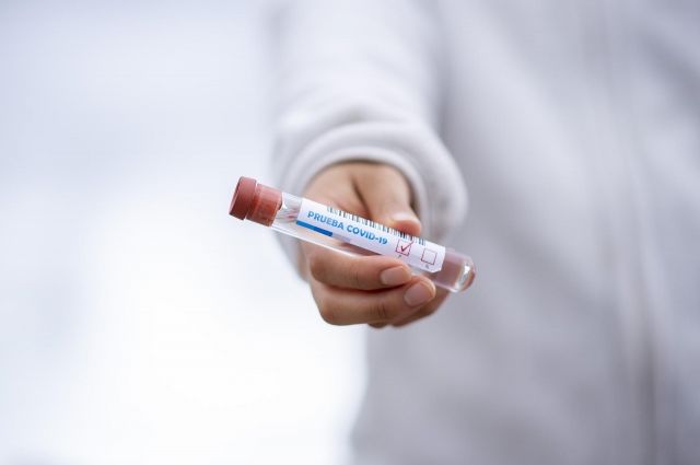 В Новом Уренгое представили отечественный прибор для тестирования на коронавирус.