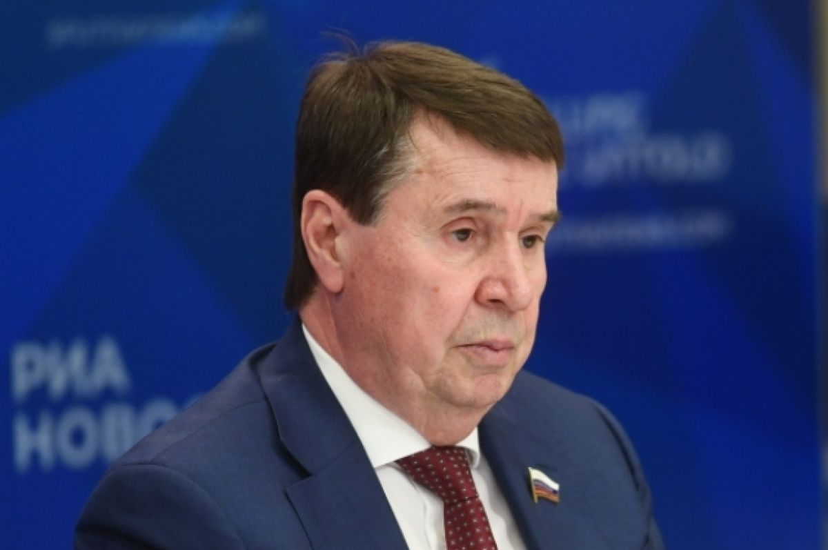 Сенатор назвал «ксенофобской» идею Латвии запретить выдачу виз россиянам